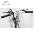 New 250W rear wheel motor with Samsung battery single speed electric bike